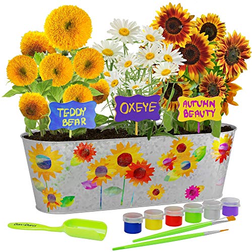 Paint & Plant Sunflower Growing Kit for Kids - Christmas Gift for Boys & Girls Ages 6-12 Year Old Toys & Crafts - Kid Gardening Set Includes Everything to Grow a Garden - Child STEM Gifts for Children
