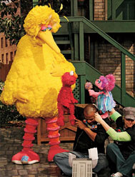 BigBird,Elmo,SesameStreet