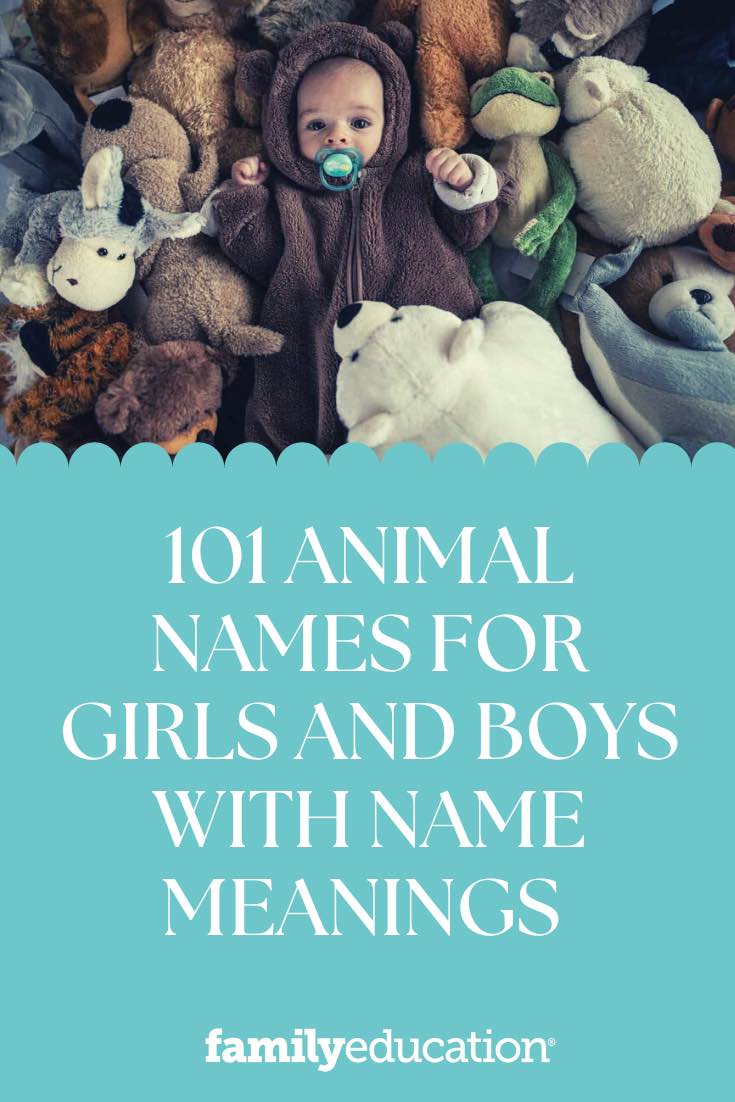 101 Animal Names for Girls and Boys with Name Meanings 
