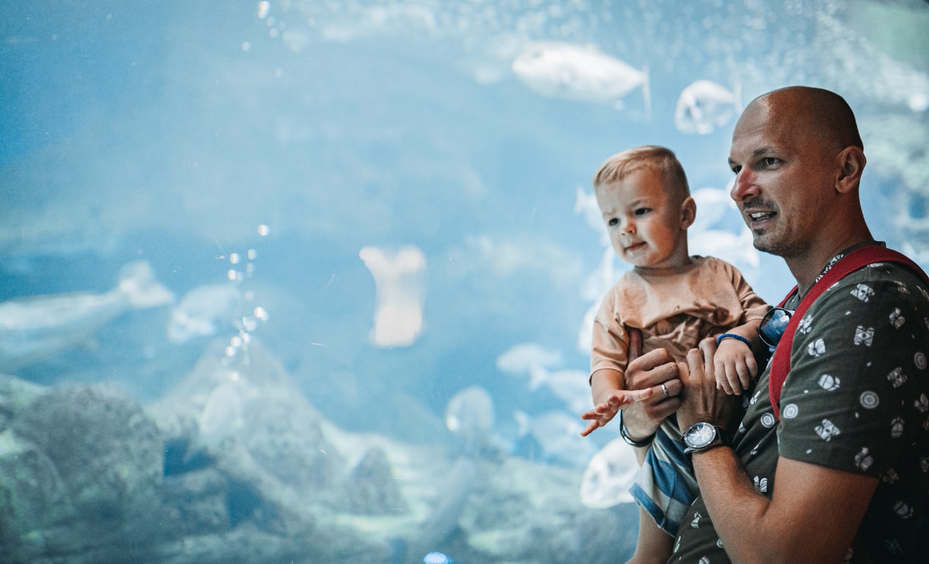Dad and son enjoy the aquarium