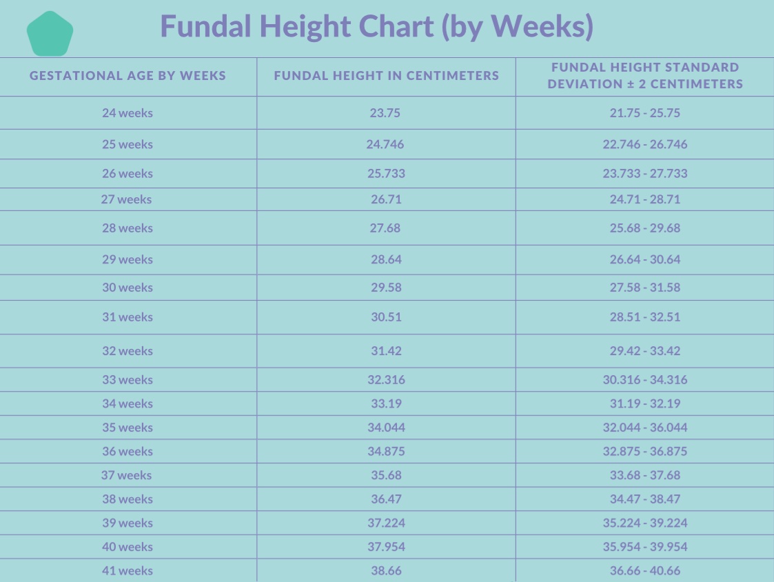 fundal height chart