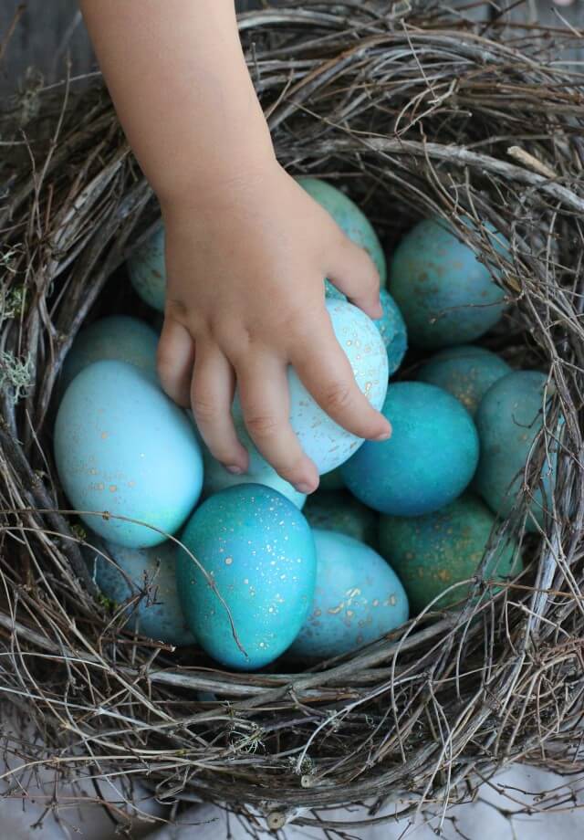 Natural-Dyed Robin Easter Eggs
