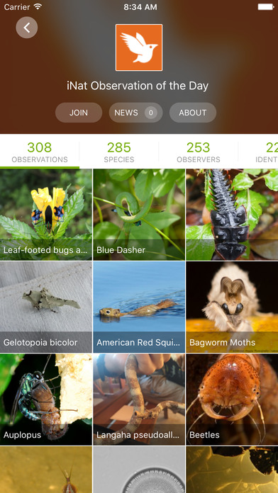 iNaturalist is a great free app, but kids need parents' permission
