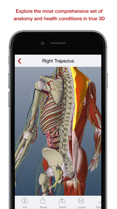BioDigital is a free app that teaches kids about the human body