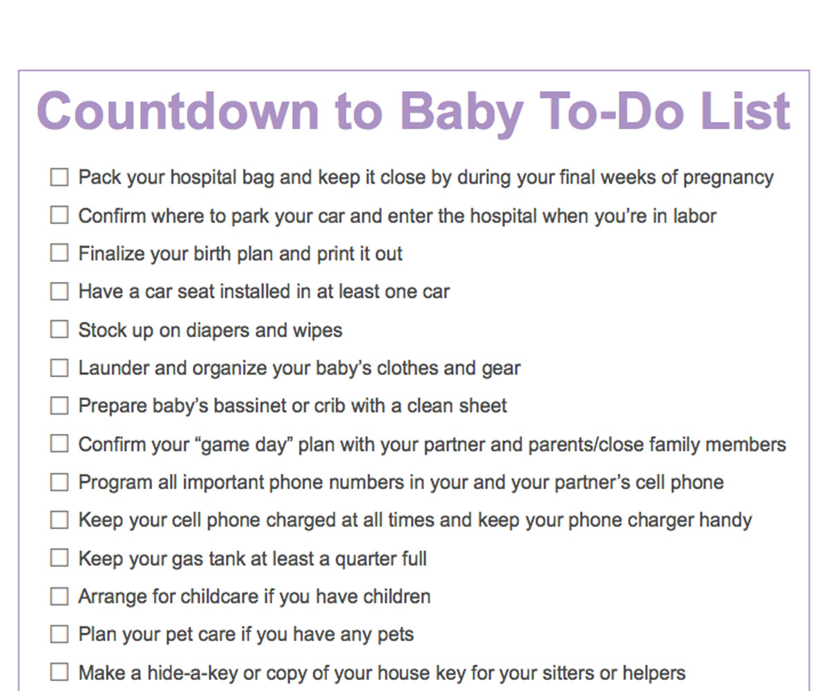 Pregnancy Countdown Chart