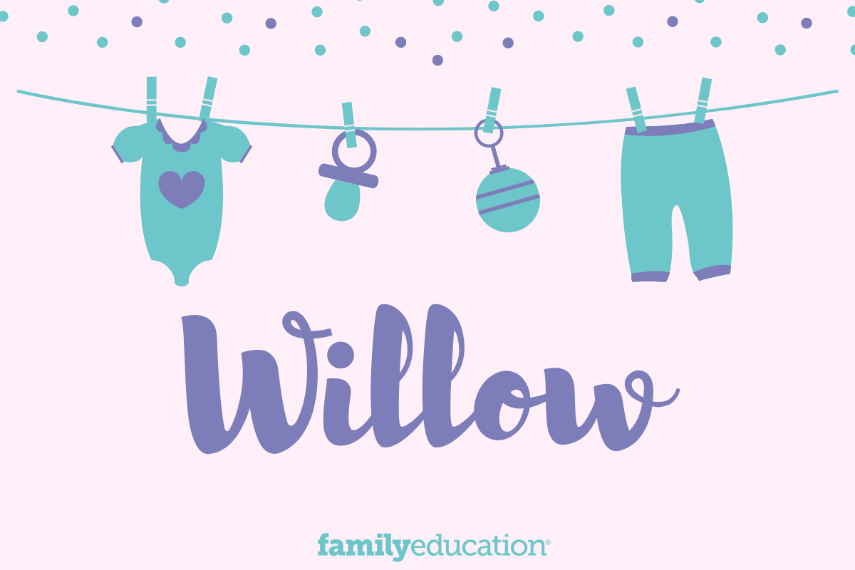Meaning and Origin of Willow