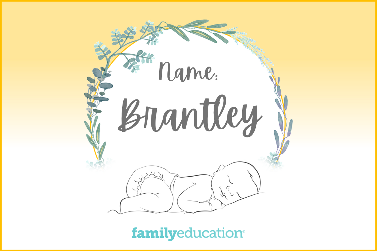 Meaning and Origin of Brantley