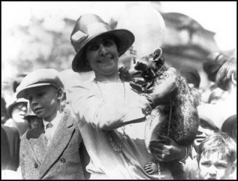 PresidentialPets,GraceCoolidge,raccoon,Rebecca