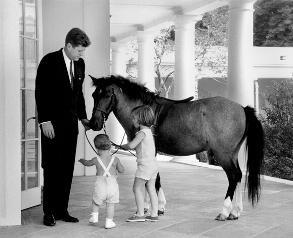 PresidentialPets,JohnF.Kennedy,pony,Macaroni