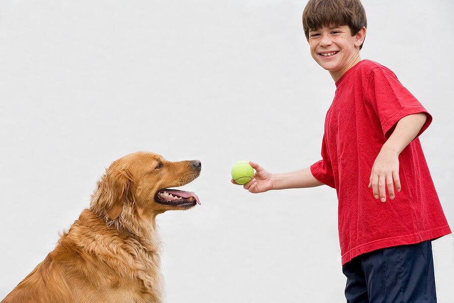Summer Science for Kids, Child plays with dog to study animals