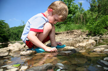 Child, Boy exploring in stream, creek