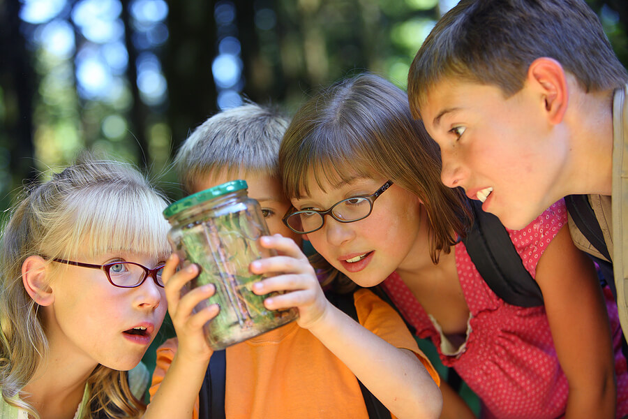 Tips for Learning Outside of School, Group of kids studying bugs inside a jar at summer camp