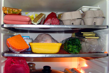 Refrigerator Consumer Goods