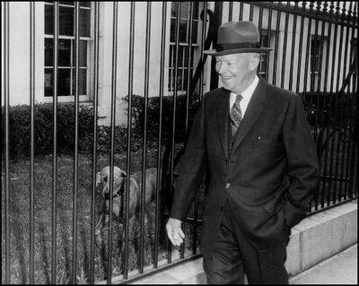 PresidentialPets,PresidentEisenhower,dog,Heidi