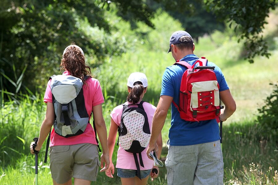 Back shot of family taking a summer hike