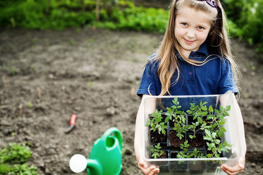 Summer Science for Kids, Child holding seedlings to plant in garden as backyard science activity