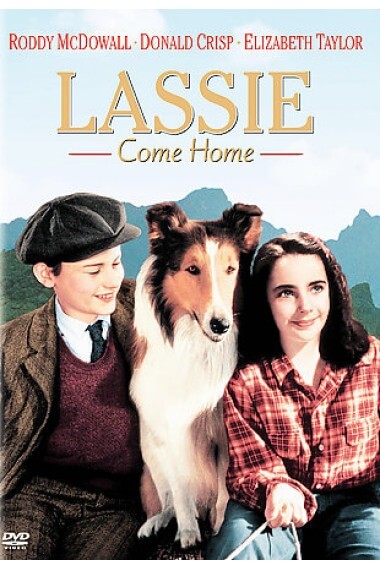 Lassie Come Home Movie