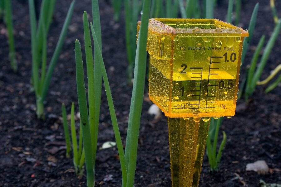 Rain gauge in garden