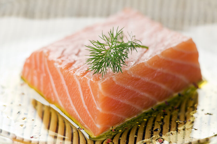 salmon,fish