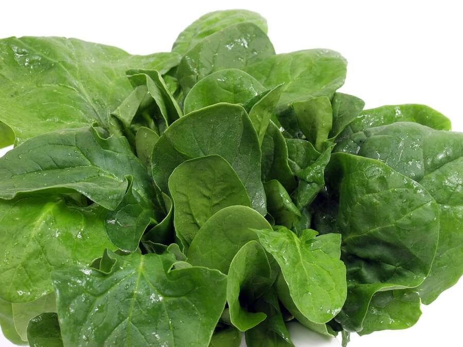 Raw spinach against white background