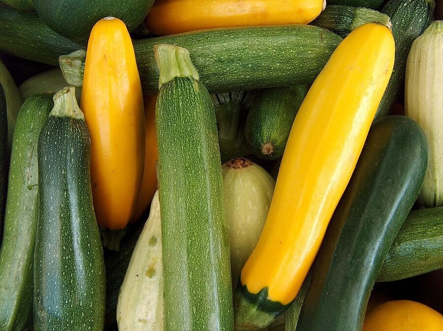 Close up of summer squash and zucchini