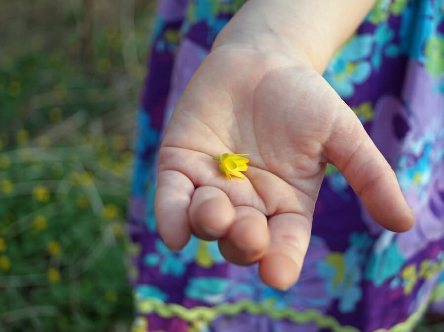 Young girl holding yellow flower in palm of hand