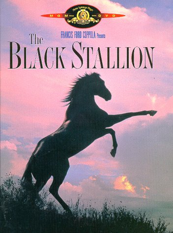 Black Stallion Movie