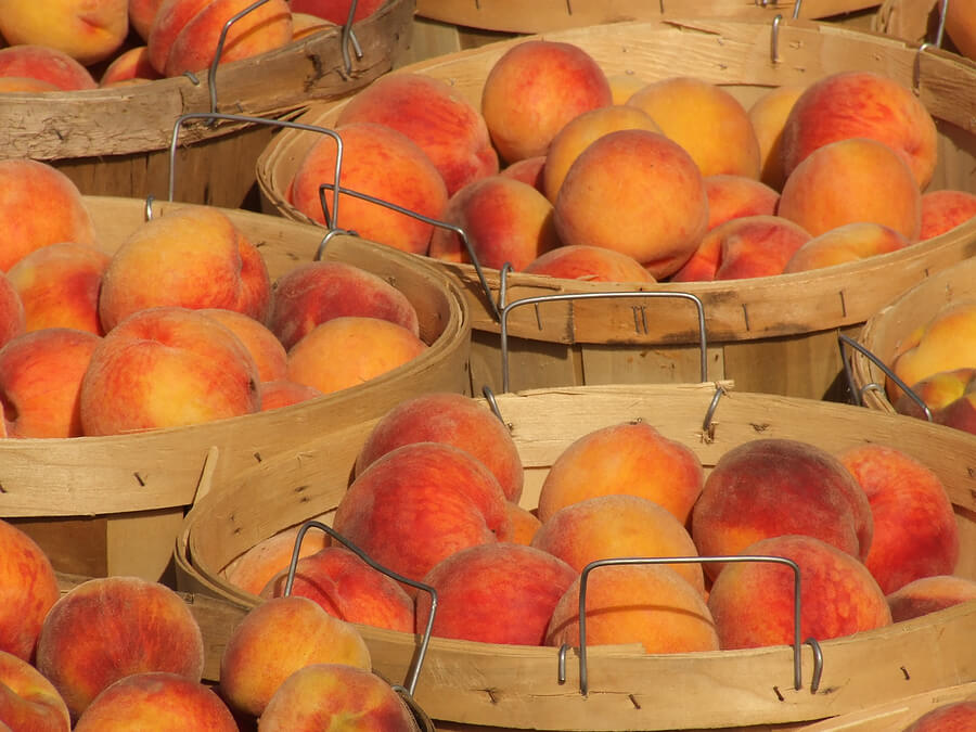 bushels of peaches, fruits