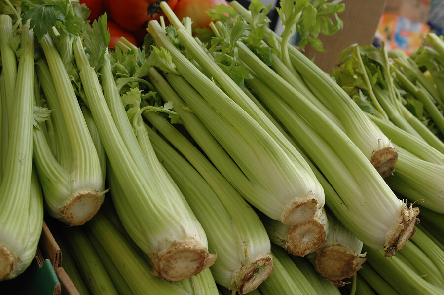 celery, vegetables