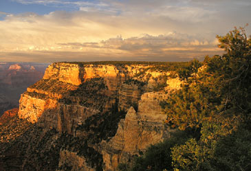 Southwest,GrandCanyon,Arizona