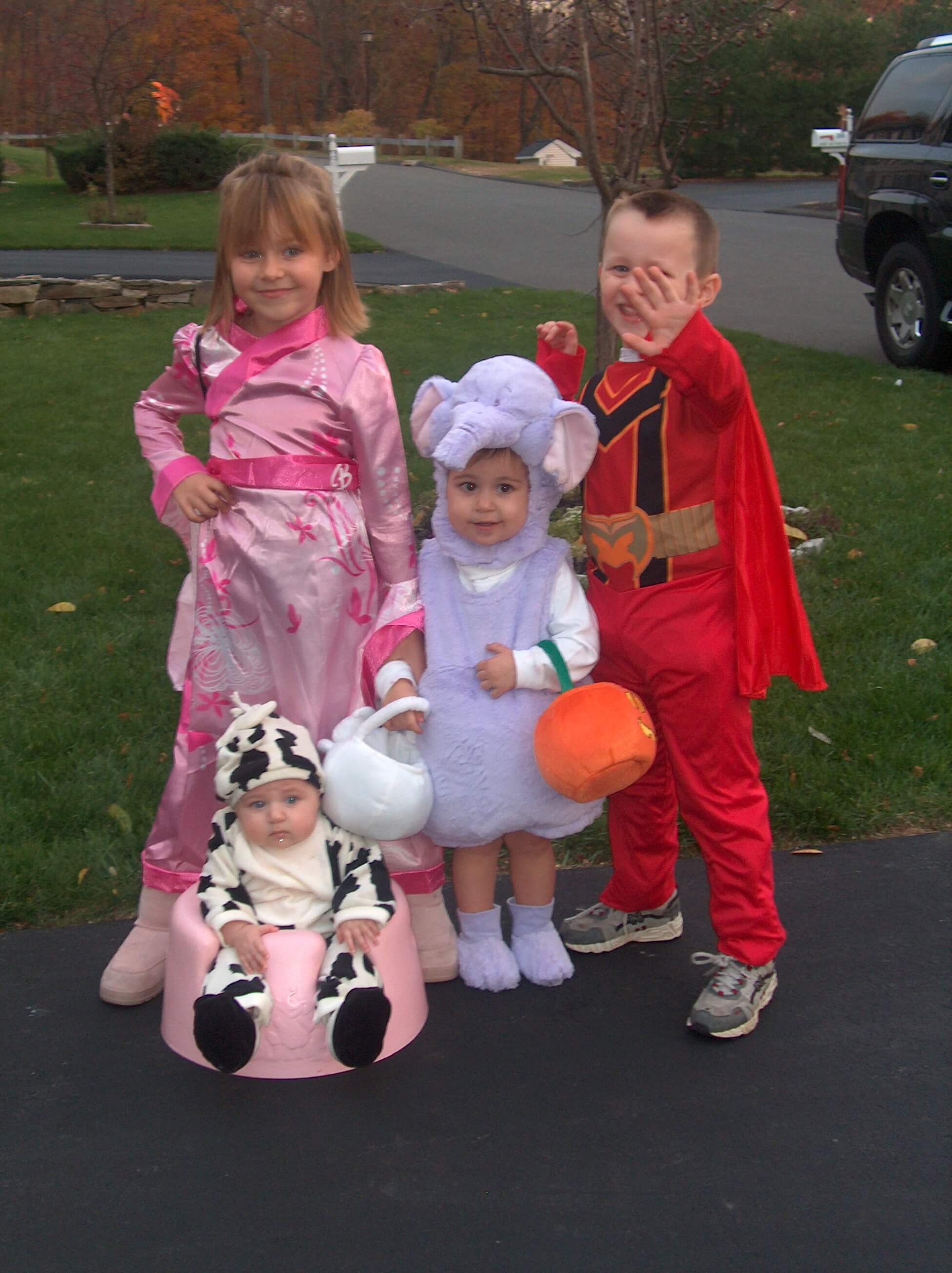Princess, Cow, Elephant, Superhero, Halloween Costumes