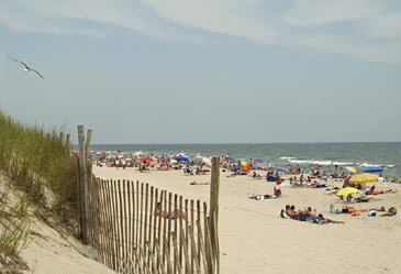 Mid-Atlantic,JerseyShore