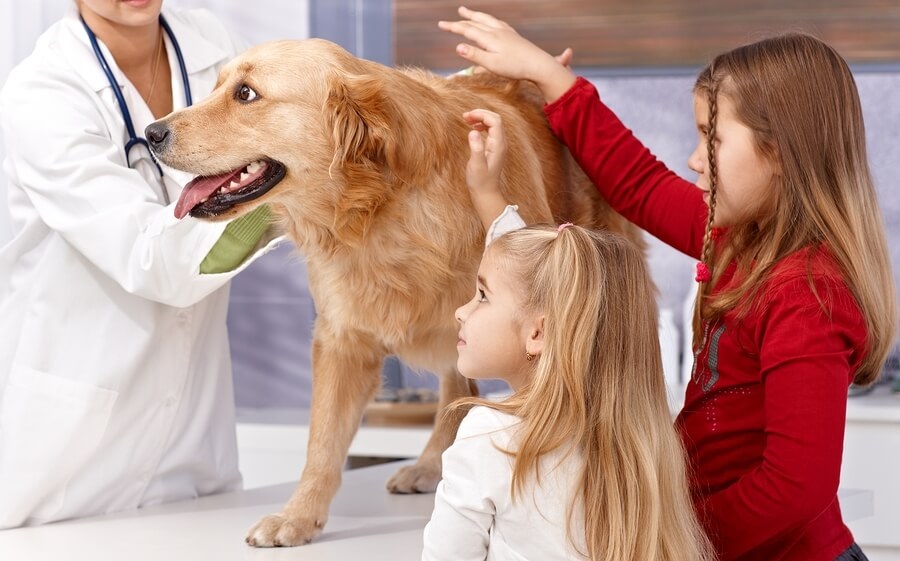 children with veterinarian