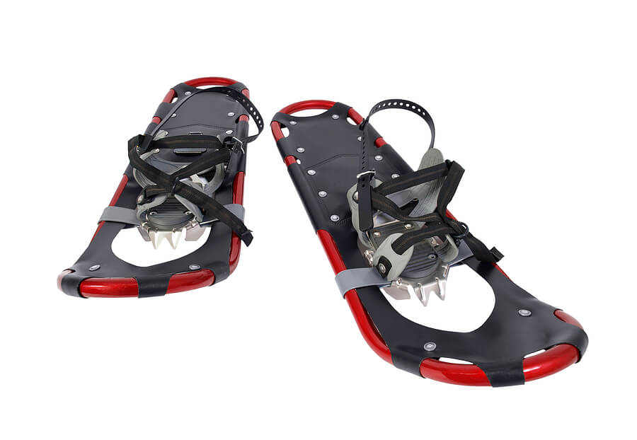 Christmas gifts for anyone, modern looking adult snowshoes