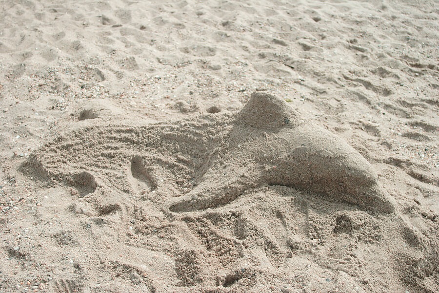 sandsculpturedolphin