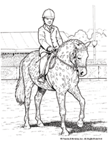 Horseback Rider Coloring Page Printable - FamilyEducation