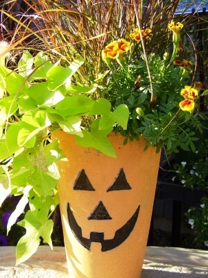 Halloween Painted Flower Pot