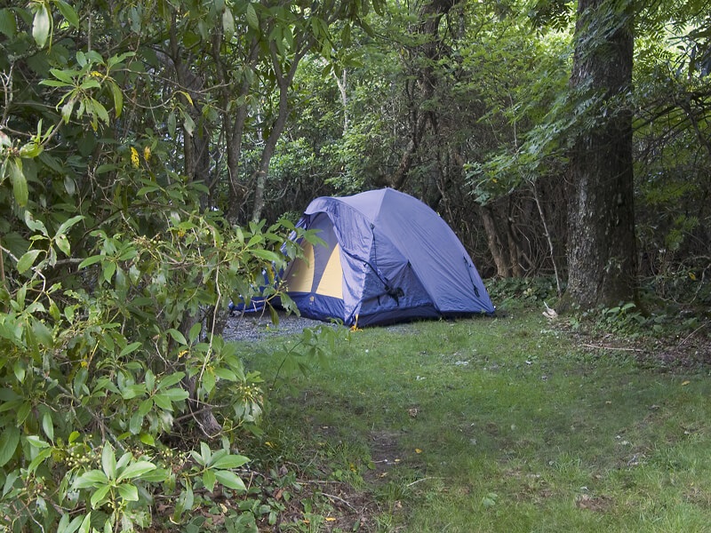 Camping,Forest,Tent