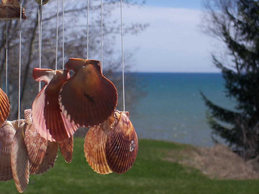 seashellwindchime