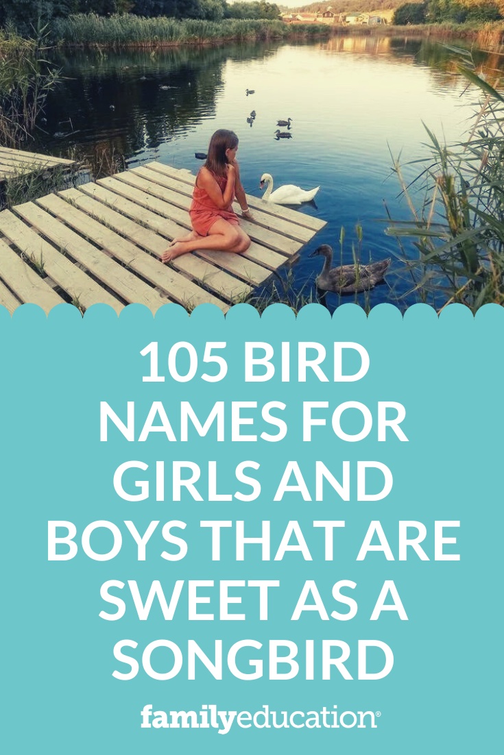 105 Bird Names for Girls and Boys that are Sweet as a Songbird