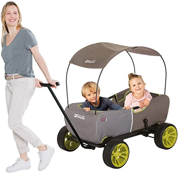 Best Wagon for Older Kids