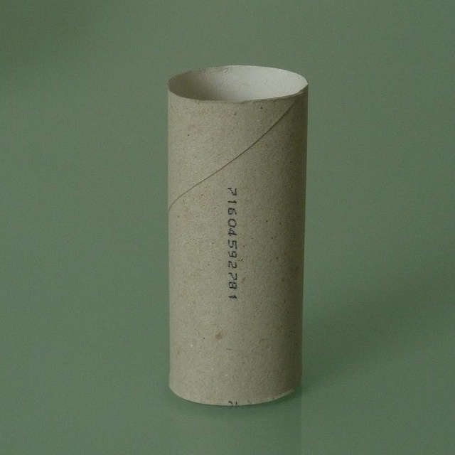 Homemade instrument: paper towel roll kazoo