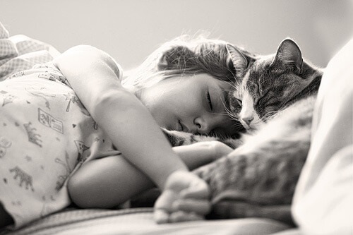 Child Taking Nap with Pet Cat
