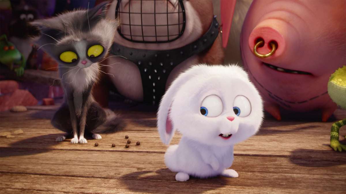 White Rabbit Animated Movie