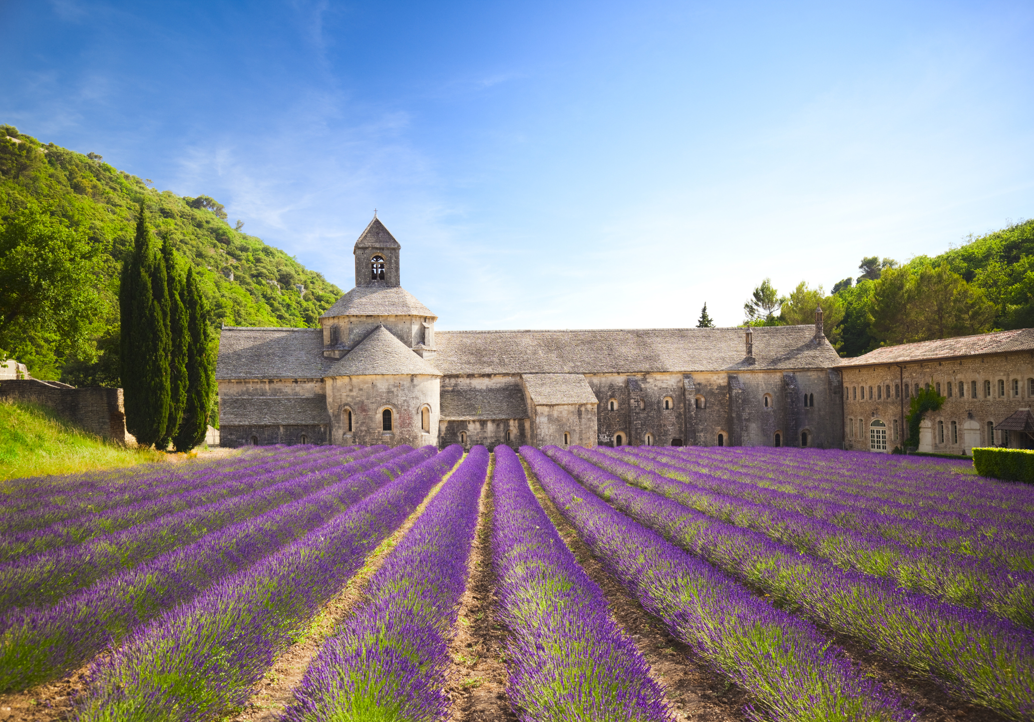 Senanque Abbey (Provence, France) 