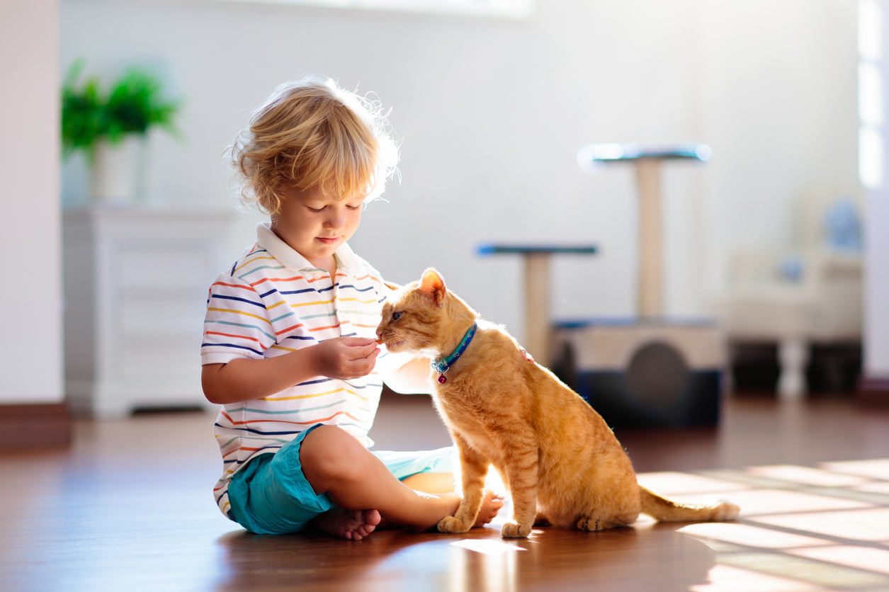 Child playing with cat at home.