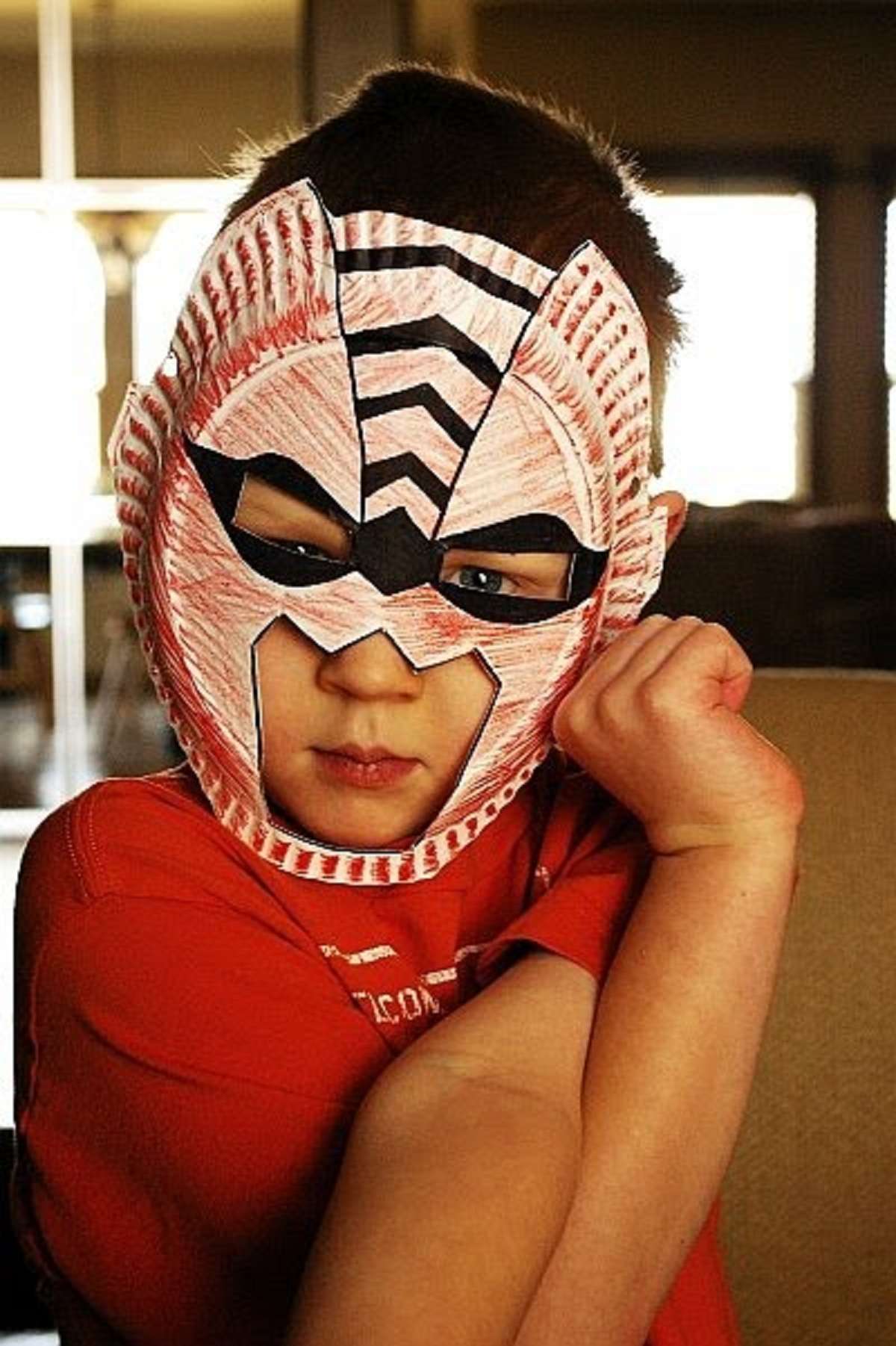 paper Plate Mask Craft