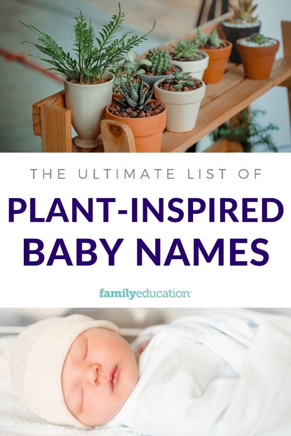 pinterest graphic of plant inspired baby names