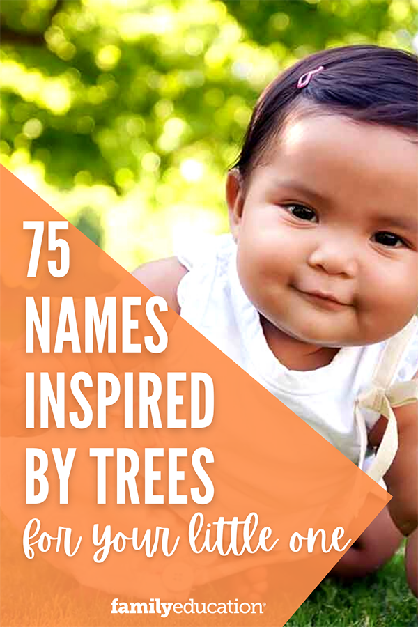 pinterest graphic of tree names