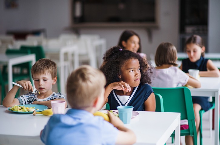 USDA Free Lunch Program Guidelines